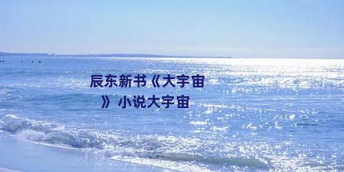 辰东新书《大宇宙》 小说大宇宙